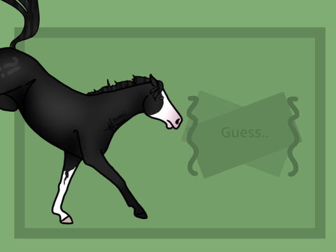 U34 | Guess…