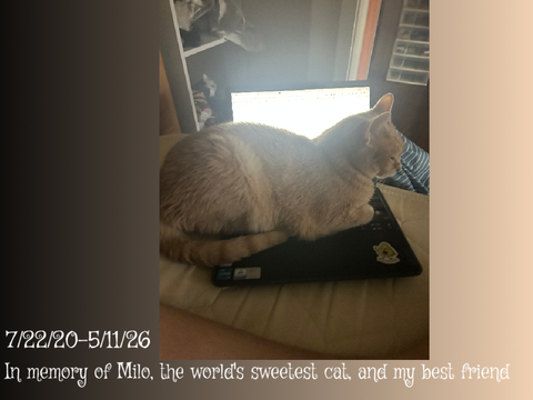 In memory of Milo