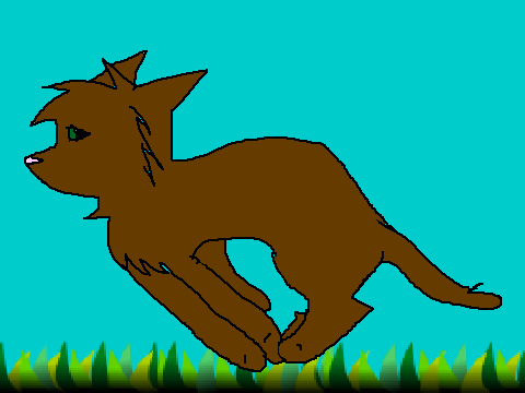 -__- Cat runcycle -__- remix