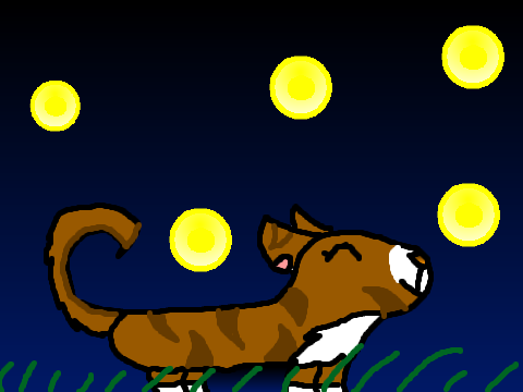 Fireflies