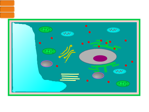 Cell Project