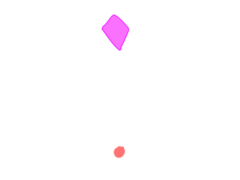 bullet test