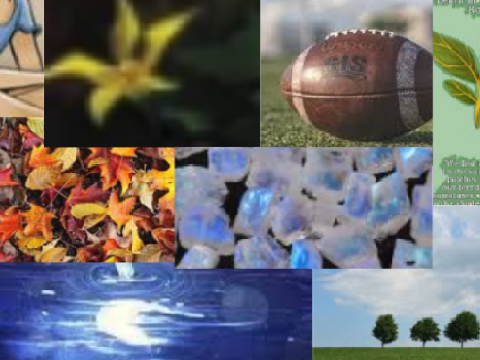 Mood board for lol