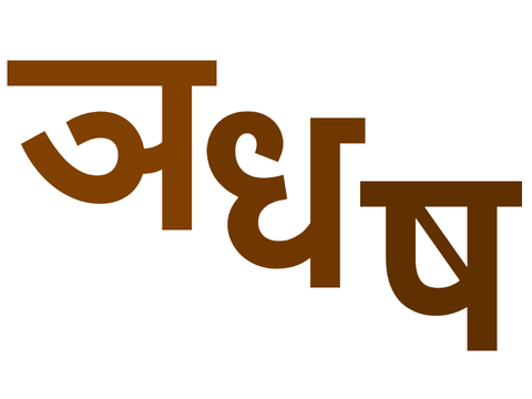The remaining members on Team Hindi