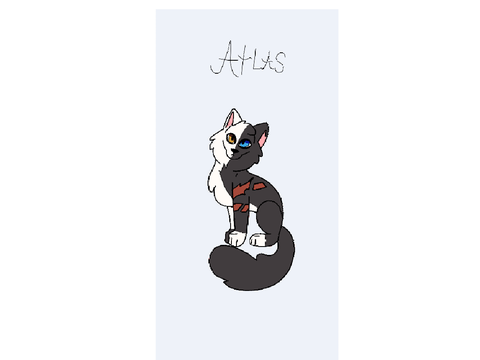My pause oc challenge cat!