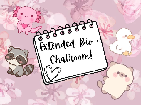 Extended Bio + Chatroom!