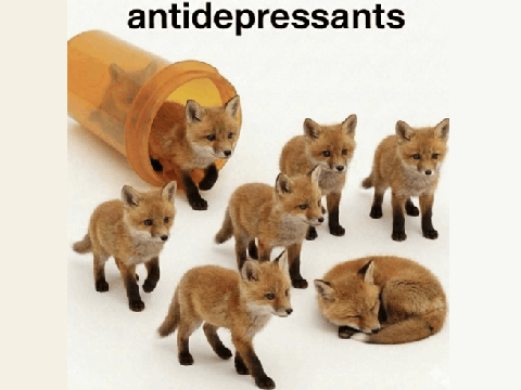 My Fennoxes
