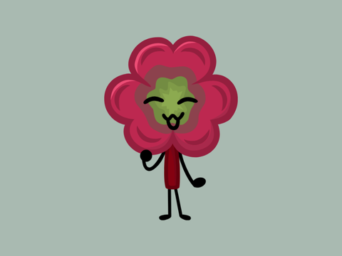 clover
