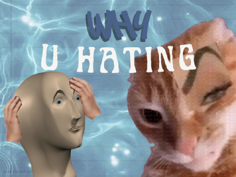 why u hating brother