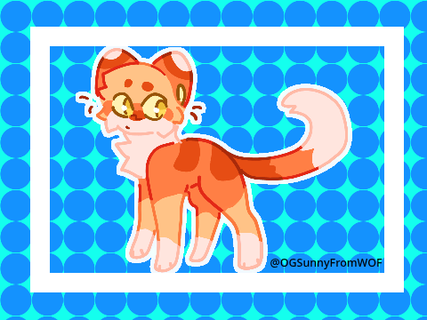 my pet kitty