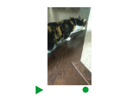 Video Player Test