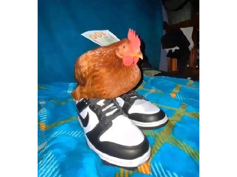 Drip Chicken.