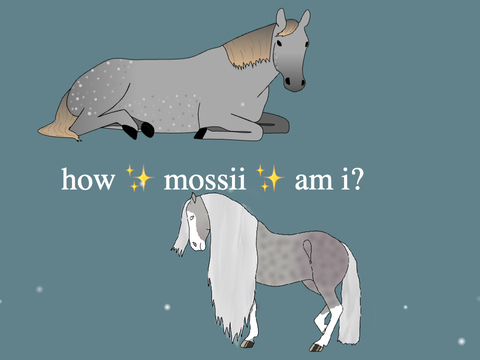 how mossii am i? 