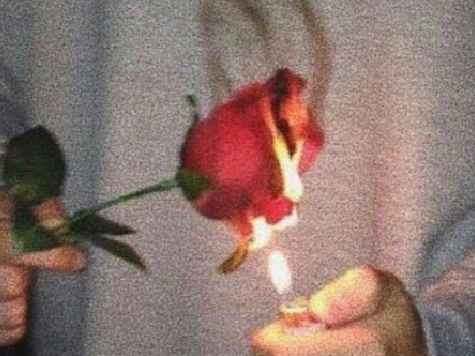 Rashes n roses 