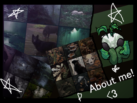 About Me!! :3