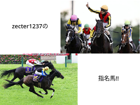 zecter1237の指名馬!!
