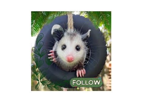 Order for @DanTheOpossumXD