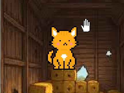 Scratch Cat