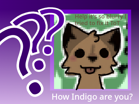How Indigo Are You?