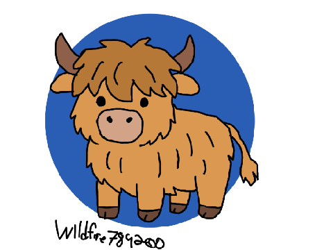 Highland cow child