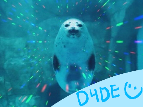 D4D entry