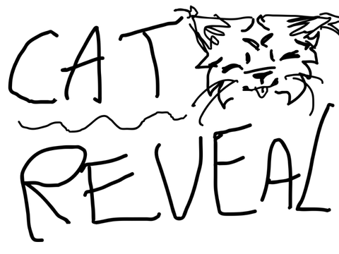 100 FOLLOWER CAT REVEAL