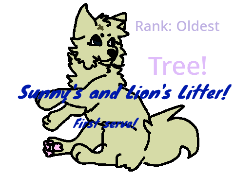 Sunny's litter!! <3