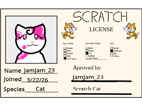 My Scratch Licens