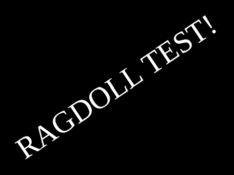 ragdoll test