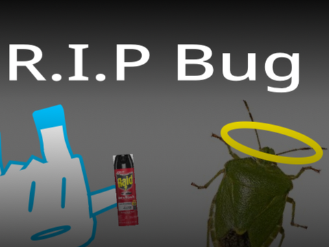 R.I.P Bug                                                      