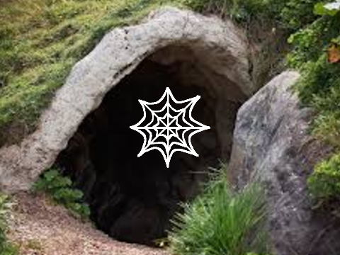 Cobweb's Web