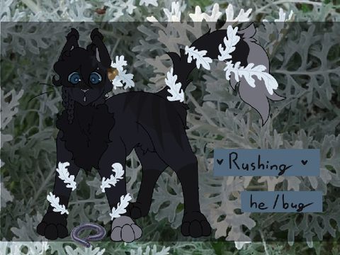 |[ Rushing's bug orchestra ]|