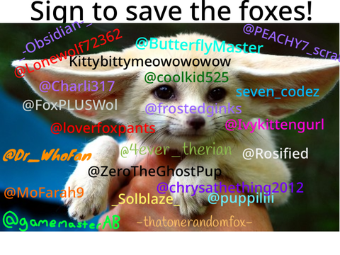 STOP HUNTING FOXES remix remix remix remix remix 7's remix... remix remix remix remix remix r… remix