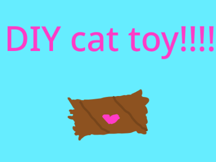 DIY cat toy!!!!