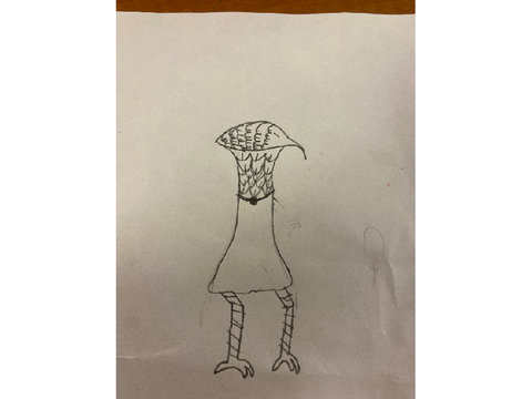 Vander redesigned