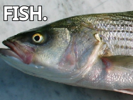 FISH.