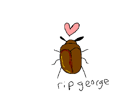 RIP George <3