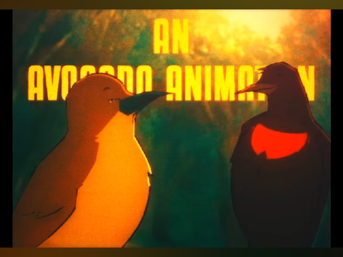 Birds for some reason T0T