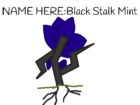 Nightbarrow clan specialized herbs