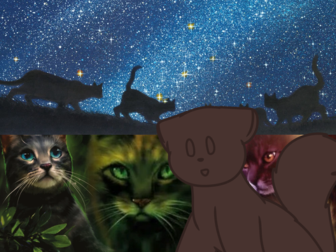 Warrior Cats POVs I’d like to see
