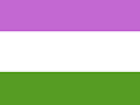 ꧁ genderqueer꧂