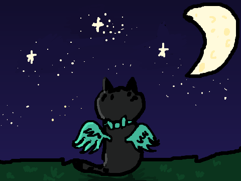 STARS CCE
