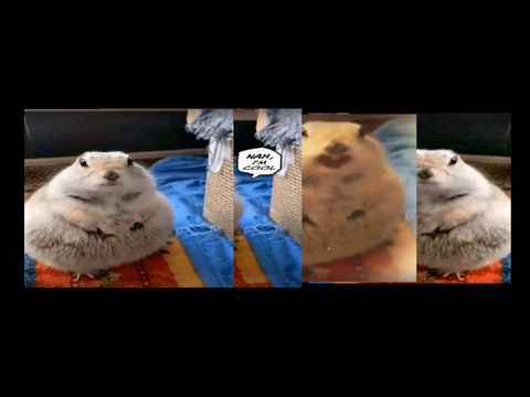 Thing edit