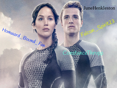 Sign if u love Hunger Games!!!