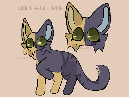 Half-Eclipse