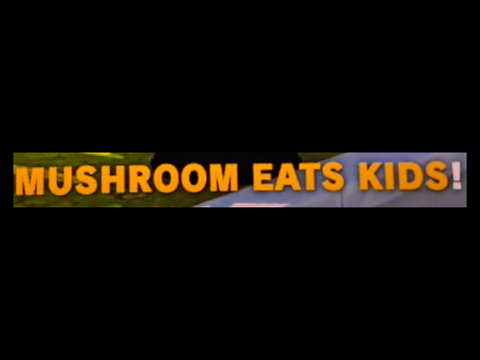 GUYS LOOK THE POPULAR NINTENDO GAME!