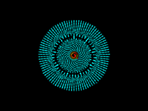 Pattern Circle