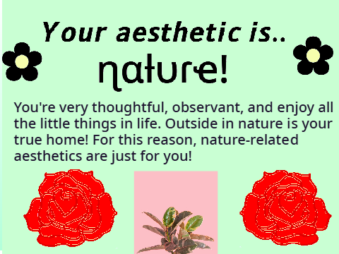 ~Find your aesthetic~ // Quiz remix