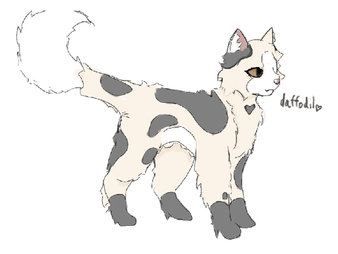 Day 1 of drawing my grade as warrior cats