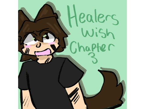 Healers wish Chapter 3